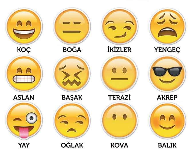 Burcunuza göre hangi emojisin :D ?