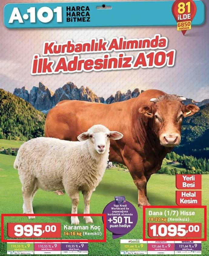 Sizce 2 Adet Büyükbaş Hayvan (500' Er Kilo - 15.330 TL) Kesecek Durumda Olan İnsanlar Fakir Midir?