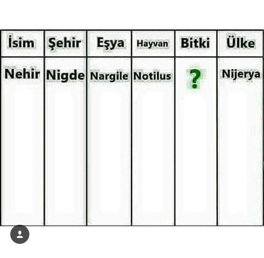 Sizde çocukken isim -şehir oynar mıydınız??