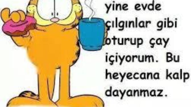 Pazar günleri herkesin en çok sevdiği gündür diyebiliriz. Peki sizin pazarları en çok yapmaktan hoşlandığınız aktiviteniz nedir?