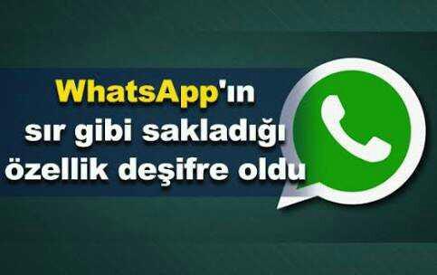 Bilgisayardan Whastap web kullananlar gelsin.?