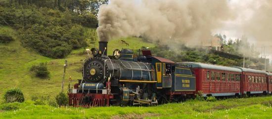 Doğudan Batıya 100km/saat hızla giden elektrikli tren var. Rüzgar Kuzeyden Güneye aynı hızla esiyor. Trenin dumanı ne yöne gider?