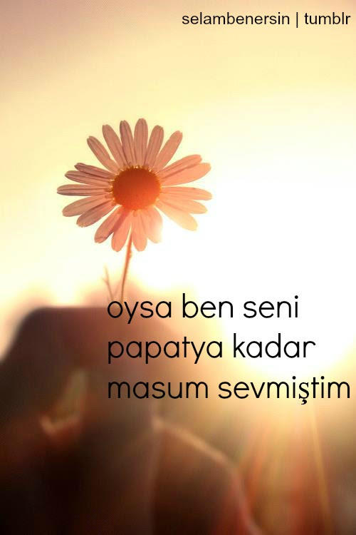 Birini hiç masum sevdiniz mi?