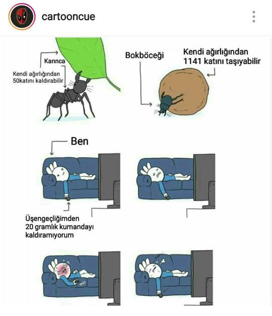 En fazla kaç kilo tasiyabilirsiniz??