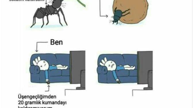 En fazla kaç kilo taşıyabilirsiniz?