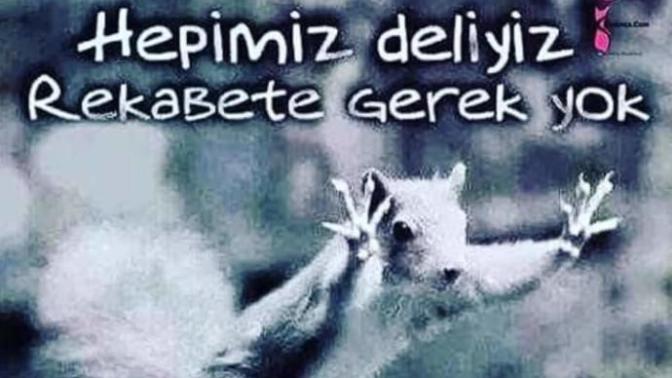Deli manyak olmayi sever misiniz 😃 deli olmak gibisi  var mı be 😁?