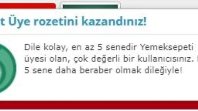 En uzun üyeliğiniz hangi platforma ait?