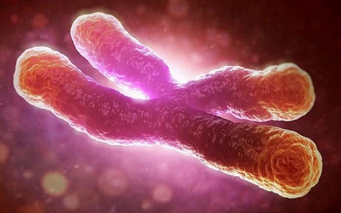 "24 yaşında görünüp 150’sine gelmenin hayali: Telomer" Sertap Erener'in de kullandığı telomer hapı nedir?<br /> Fiyatı ne kadardır?