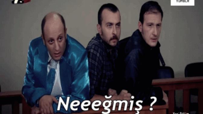 Kelliğin sebebi bulundu: İleri zeka! Siz de kellerin zeki olduğunu düşünüyor musunuz?