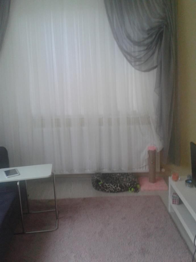 Sade, kalabalık, uyumsuz, sevimli... Evim sizce nasil?