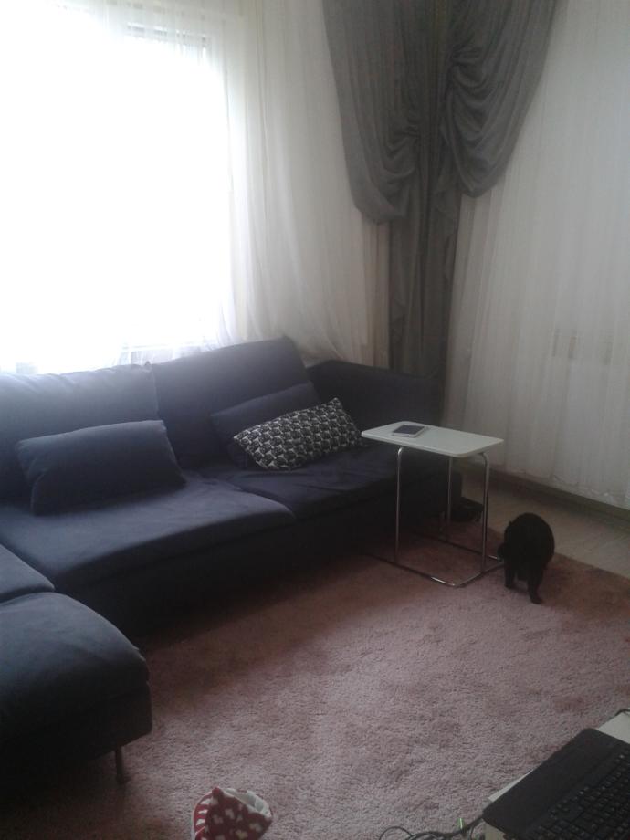 Sade, kalabalık, uyumsuz, sevimli... Evim sizce nasil?