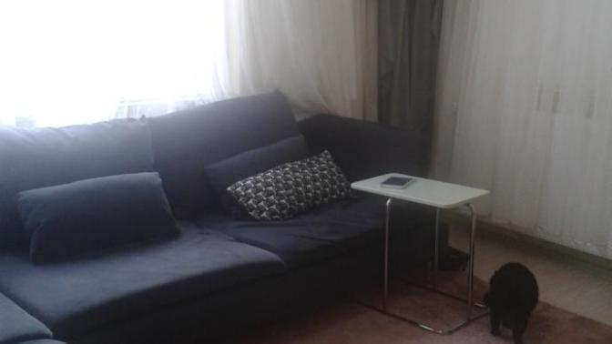 Sade, kalabalık, uyumsuz, sevimli... Evim sizce nasil?