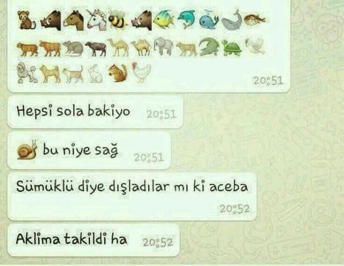 Karikatür seviyor musunuz??