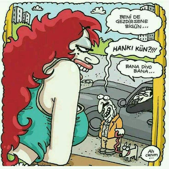 Karikatür seviyor musunuz??