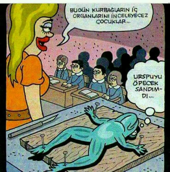 Karikatür seviyor musunuz??