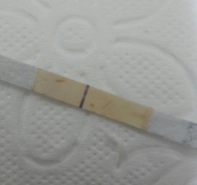 Sizce gebelik var mi? (RESIMLI)?