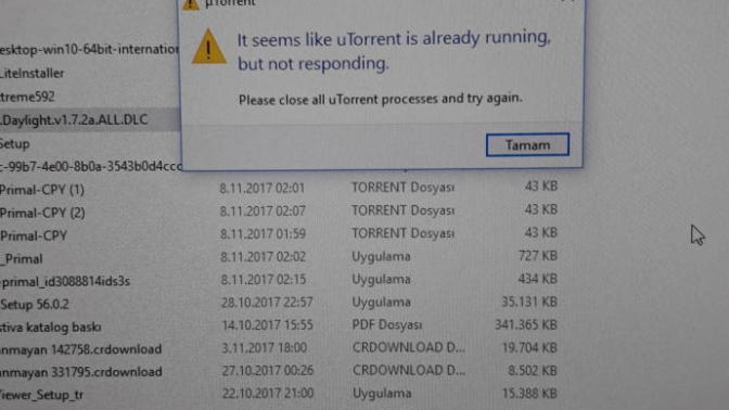 Ya bu torrentten oyun indiremiyorum yardım edermisiniz?