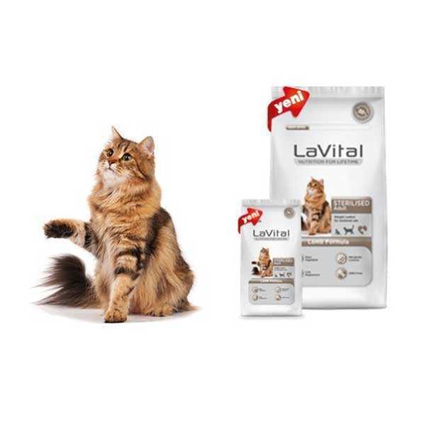 Kedi maması önerebilir misiniz? En İyi Kedi Maması Markaları Nelerdir?