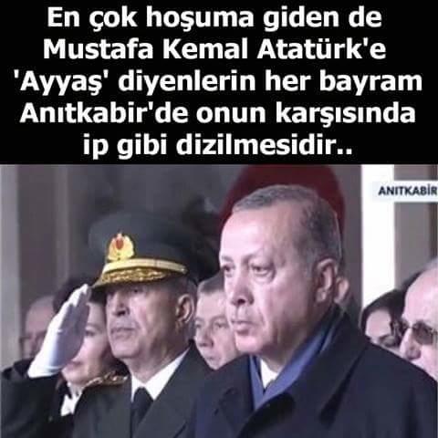 Dönek nedir? Kime dönek denir?