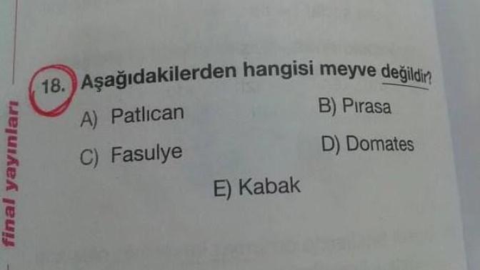Aşağıdakilerden hangisi meyve değildir?
