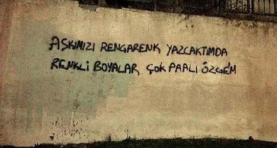 Önünüzde bir duvar elinizde sprey olsa ne yazardınız ?