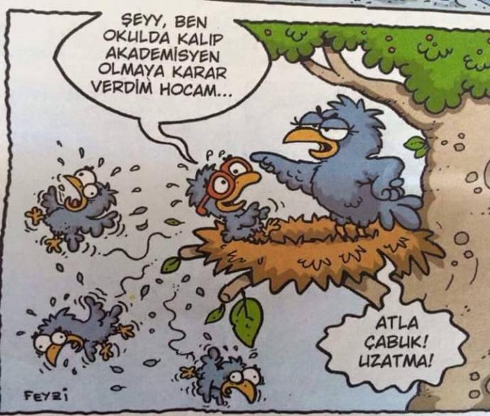Kara carsafli biri akademisyen olabilir mi?