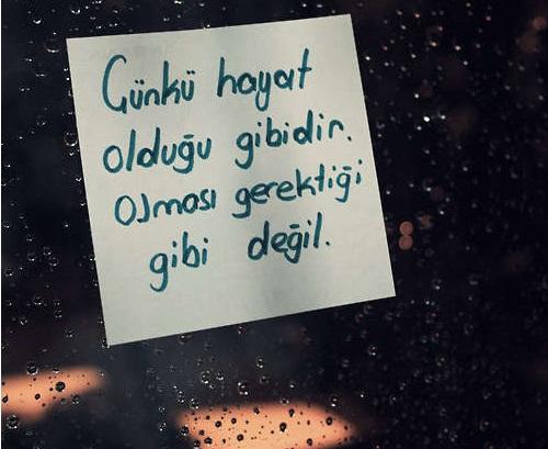 Çünkü hayat olduğu gibidir, olması gerektiği gibi değil. Peki siz, "Her şey tam da olması gerektiği gibi" diyebiliyor musunuz?