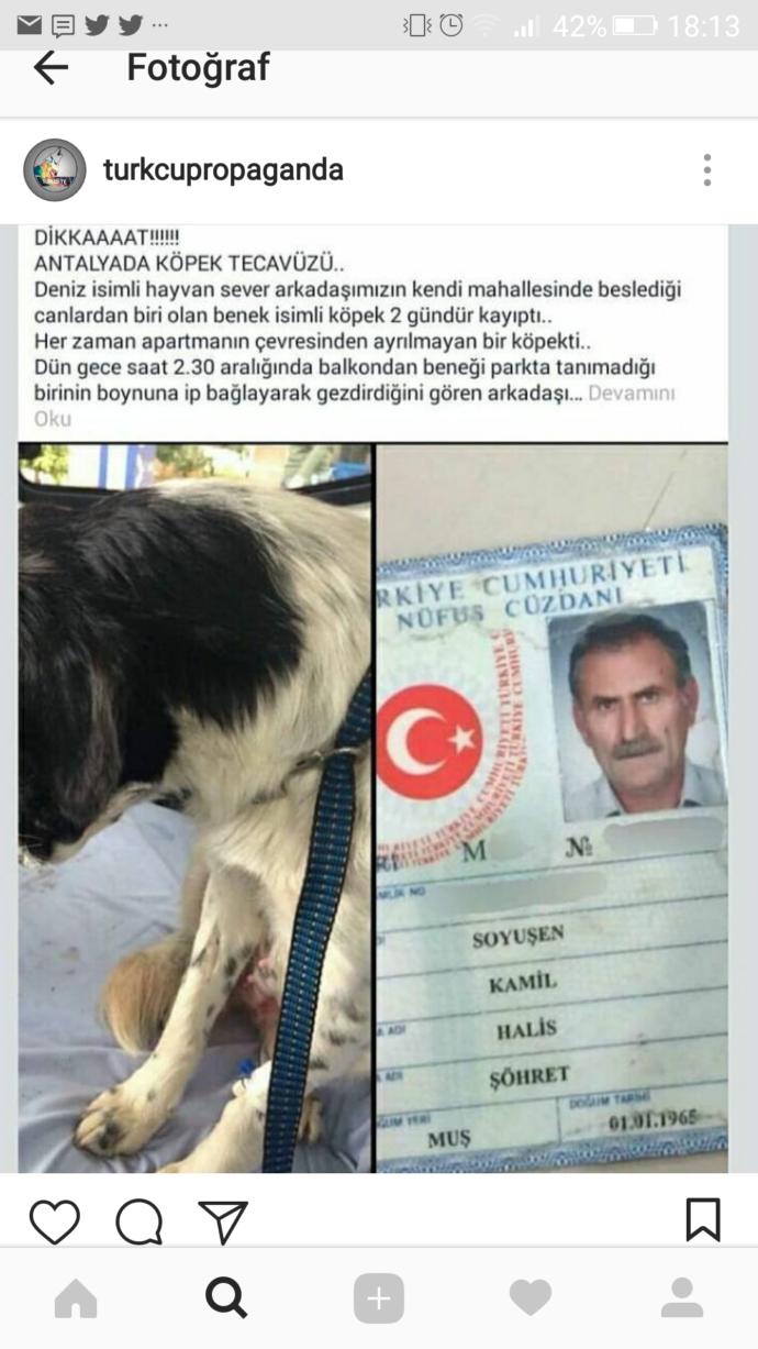 Köpeğe tecavüz eden hakkında ne düşünüyorsunuz?