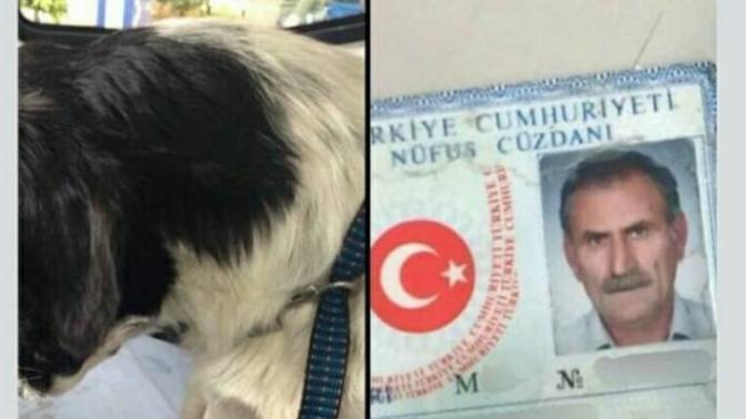 Köpeğe tecavüz eden hakkında ne düşünüyorsunuz?