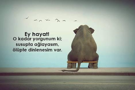 Yorulduğunu hissettiğinde kimin omuzunda dinlenirsin; en çok ruhen mi yorulduğunu hissedersin yoksa fiziki yorgunluğu mu?