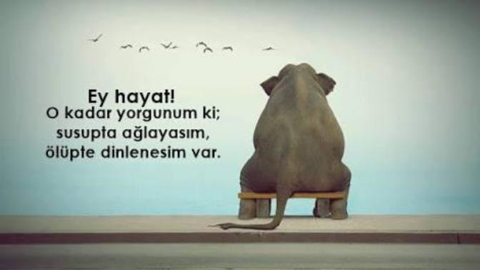 Yorulduğunu hissettiğinde kimin omuzunda dinlenirsin; en çok ruhen mi yorulduğunu hissedersin yoksa fiziki yorgunluğu mu?