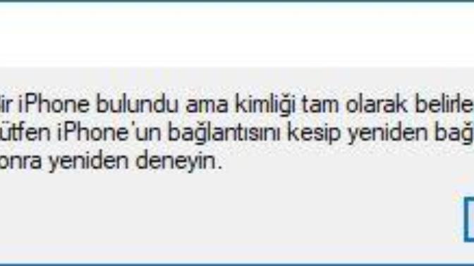 İtunes iphone'umu tanımıyor sizce ne yapmalıyım?