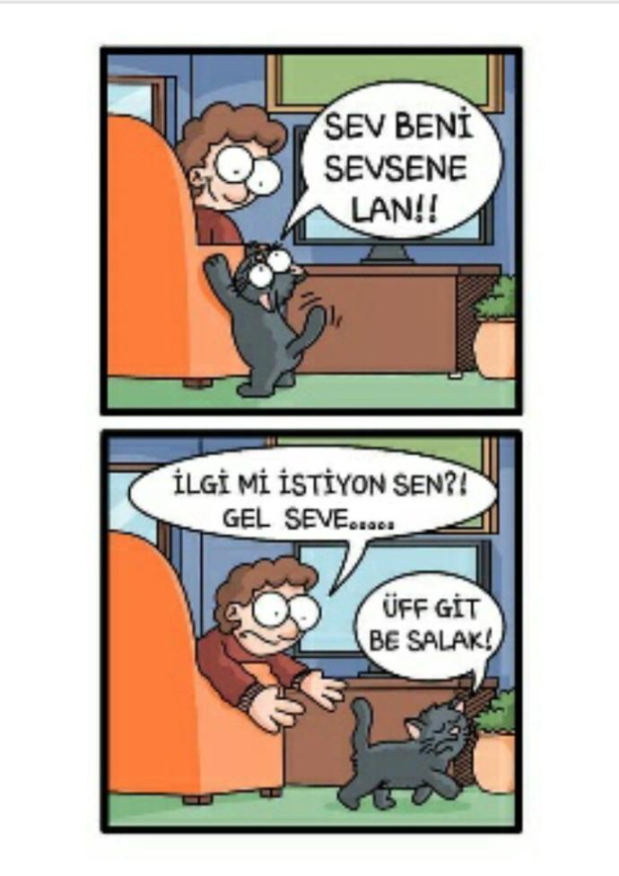 İlgi gosterince degisen erkekler hakkinda soruyorum ?