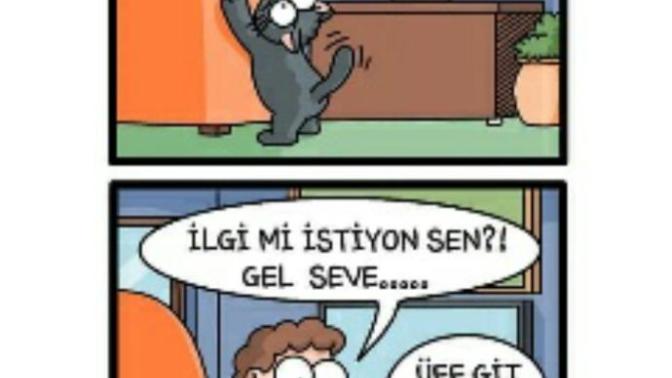 İlgi gosterince degisen erkekler hakkinda soruyorum?
