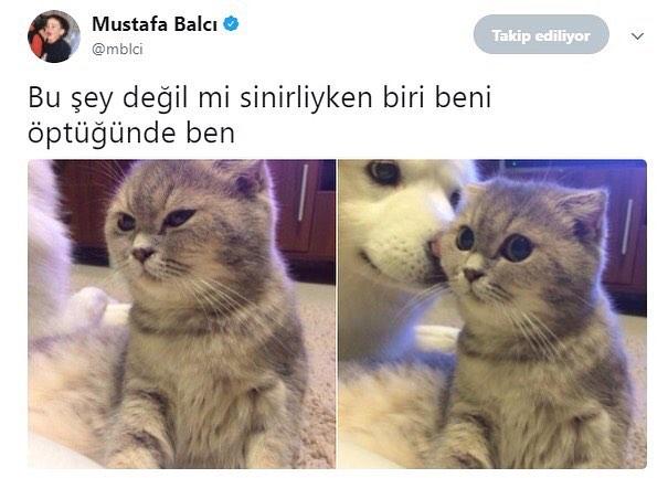 Sinirlendiğinizde yanağınıza bırakılan küçük bir buse sizi yatıştırabilir mi?