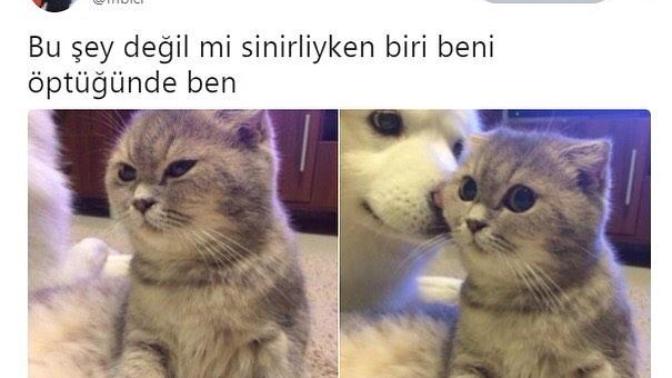 Sinirlendiğinizde yanağınıza bırakılan küçük bir buse sizi yatıştırabilir mi?