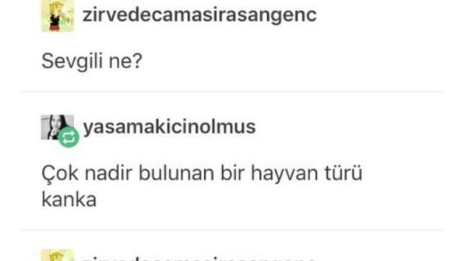 Sizce sevgili nedir?