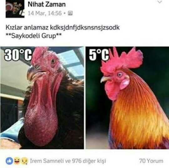 Kizlar anlamaz lafına tek sinir olan ben miyim??