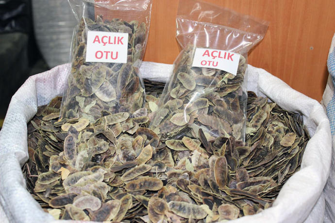 Ben Diyetisyen Banu Belkıs Güner, KizlarSoruyor #uzmanlarcevapliyor etkinliğinde diyetle ilgili sorularınızı alabilir miyim?