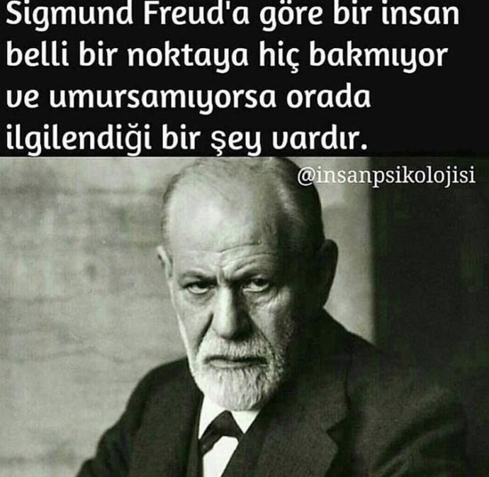 Sizce Siegmund amca bey haklı mı ?