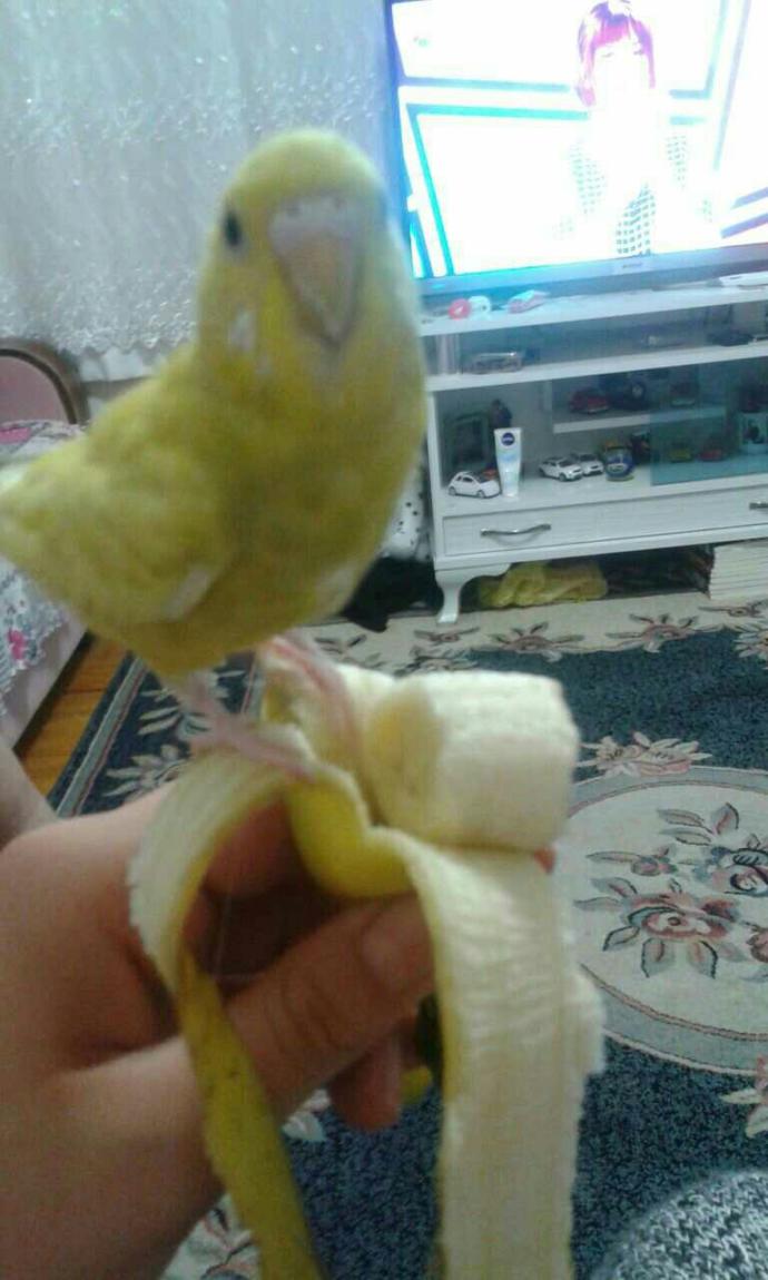 Aşk hayatınızı tek bir görselle anlatır mısınız?