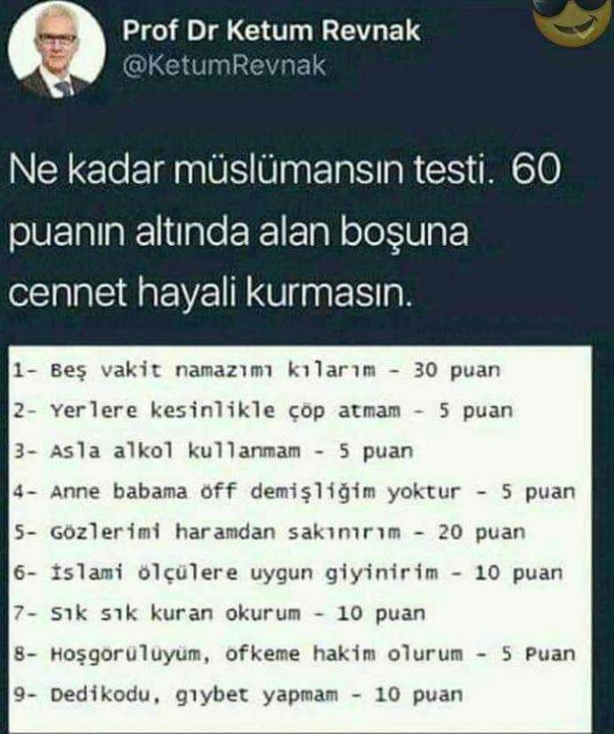 Sizin Bu Testte Puanınız Ne??