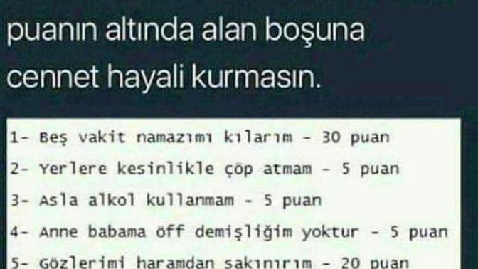 Sizin Bu Testte Puanınız Ne?