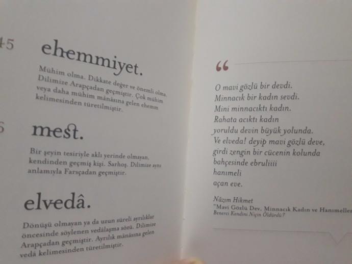 Bazi kelimeler omrunu tamamliyor ve ölüyor ama olmemesi gereken ozel kelimeler de var, sizin sevdiginiz eski kelimeler hangileri??
