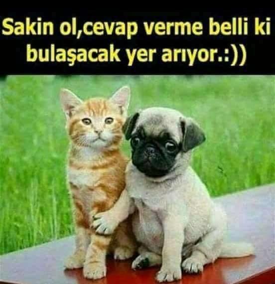 BAZEN HAYATI ÇOK TA ŞEY YAPMAMAK LAZIM DEĞİL Mİ?