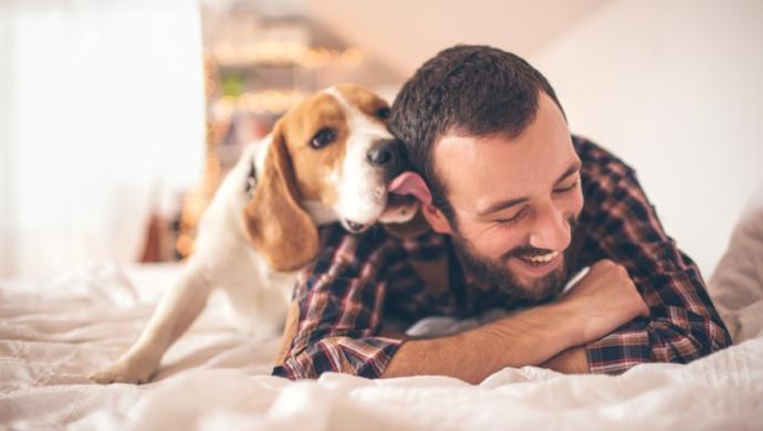 Köpeği olanlar %36 oranında daha uzun yaşıyor! Sırf daha uzun ve sağlıklı yaşamak için köpek besler misiniz?