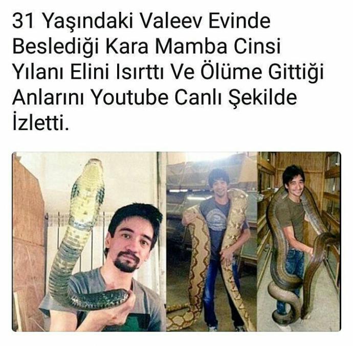 İnsanlar sizcede kafayı yememiş mi (resimli) ?