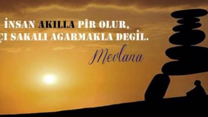 "Akıl yaşta değil baştadır." atasözüne katılıyor musunuz?