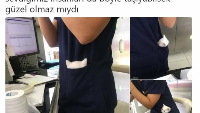 Sevdiğiniz insanları böyle taşımak ister misiniz?