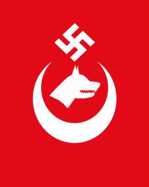 Türkiye de Nasyonal Sosyalist bir parti iktidara geçerse ne olur ?
